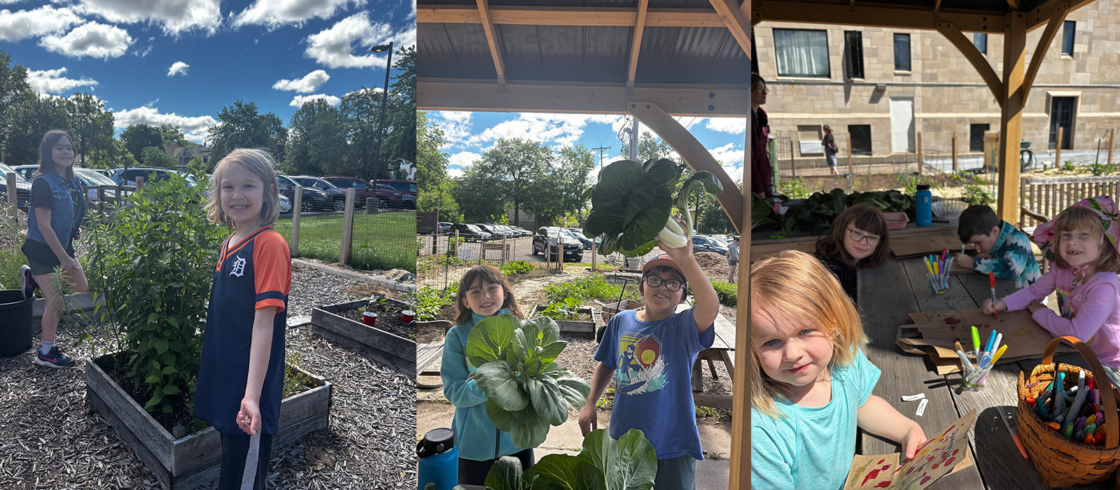 Summer in SPROUT Garden